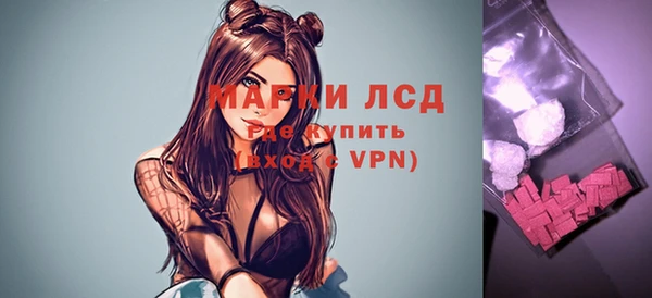 мдпв Богородск