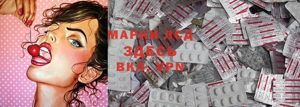 мдпв Богородск