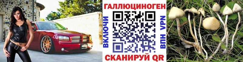 Псилоцибиновые грибы ЛСД  МЕГА ONION  Бронницы 